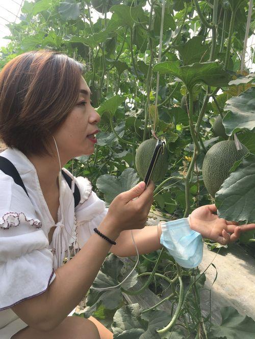 吃瓜跳舞网红叫什么名字,揭秘吃瓜跳舞网红的火爆魅力
