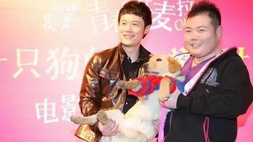 网红爆料柯铭简介图片视频,柯铭的神秘面纱——简介图片与视频深度解析