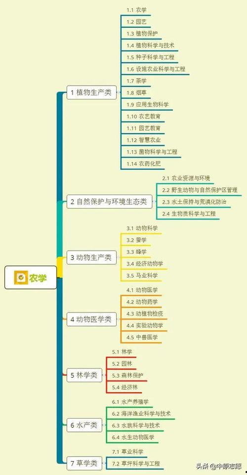 爆料如皋钓鱼视频大全集,视频大全集精彩呈现