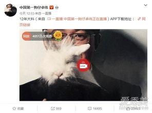 贵州出轨事件最新爆料