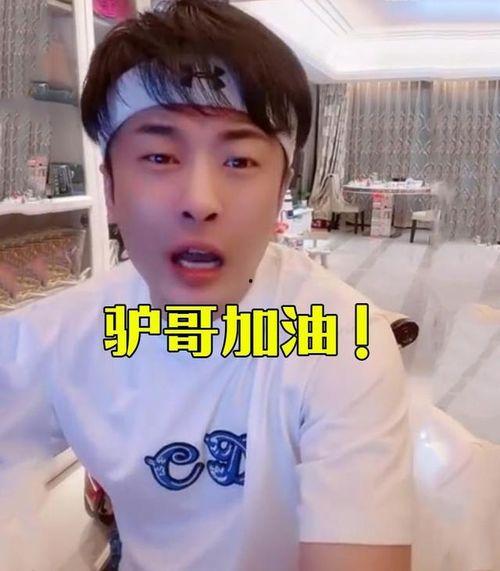 驴哥爆料视频,幕后真相大曝光！