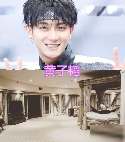 王俊凯爆料男星视频在线观看,揭秘男星私密视频幕后真相