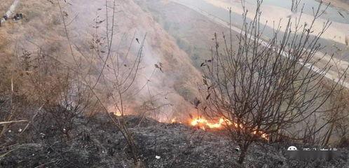 狮子山爆料视频最新版,惊人内幕曝光！