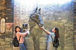 盗佛线4在线观看,在线揭秘神秘佛门秘术