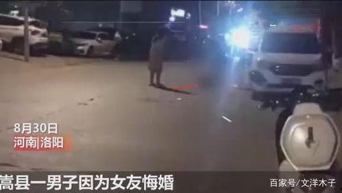 河南嵩县爆料事件视频,真相与争议交织