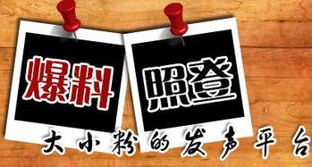 重庆新闻爆料平台官网,聚焦城市脉搏，倾听市民声音