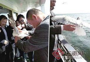 大理游客爆料最新消息新闻,最新旅游体验与奇遇记